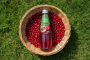 Taj Basil Seed Drink Juice, Pomegranate 290ml